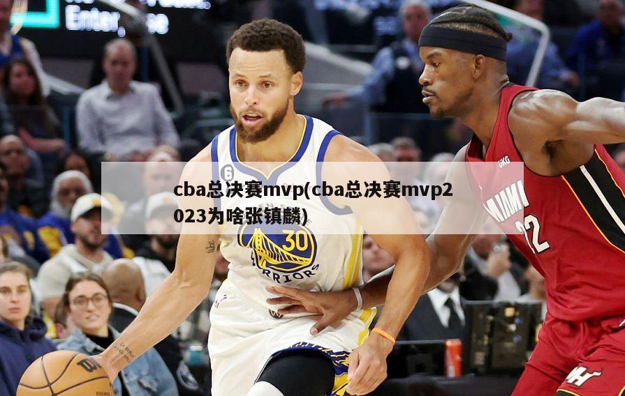 cba总决赛mvp(cba总决赛mvp2023为啥张镇麟)