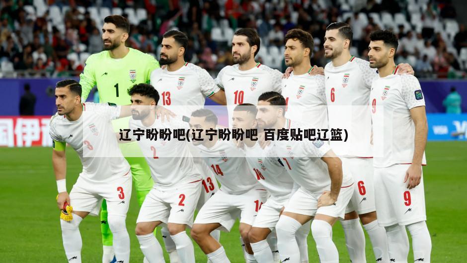 辽宁盼盼吧(辽宁盼盼吧 百度贴吧辽篮)
