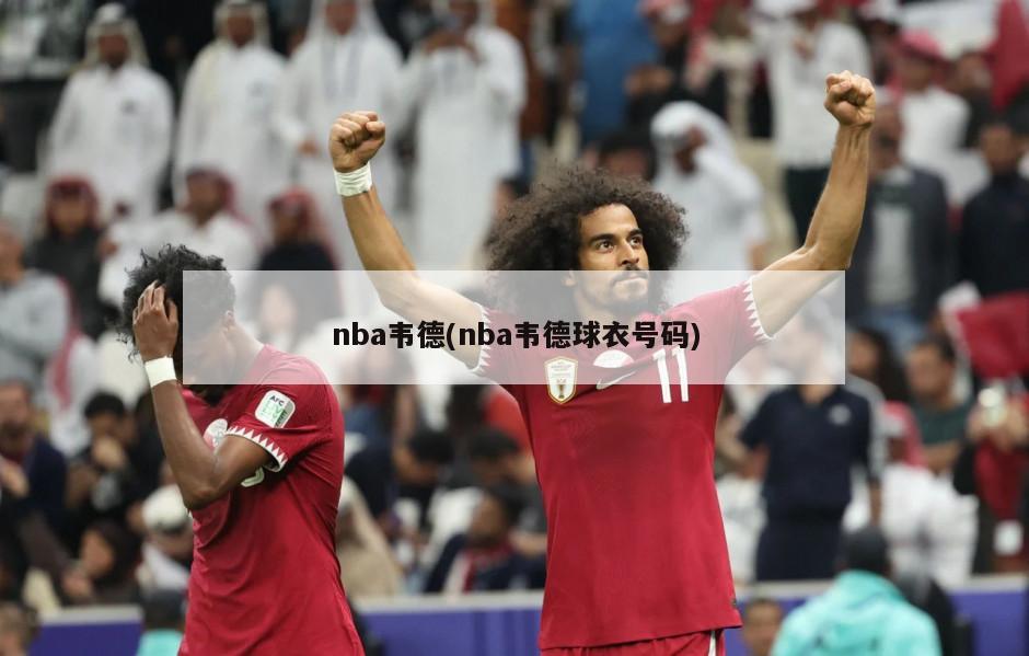 nba韦德(nba韦德球衣号码)