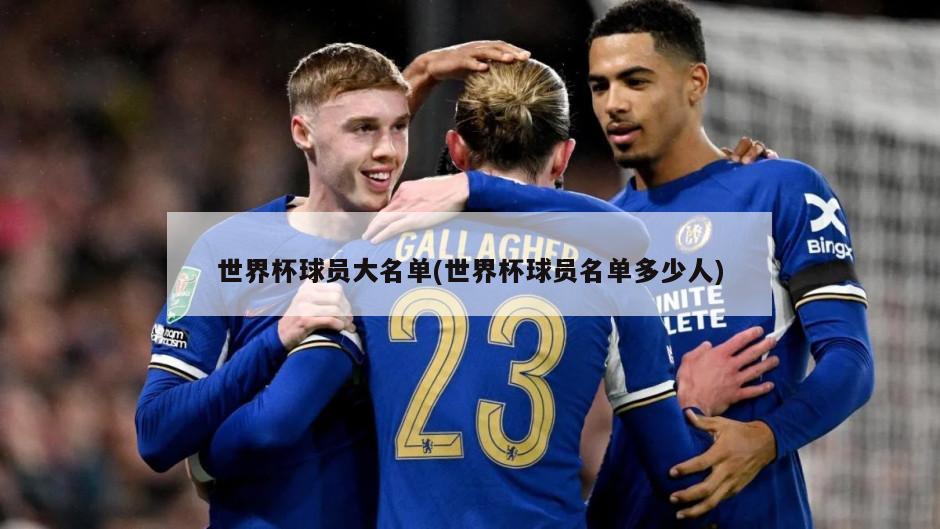 世界杯球员大名单(世界杯球员名单多少人)