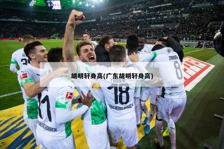 胡明轩身高(广东胡明轩身高)