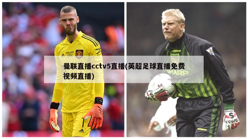 曼联直播cctv5直播(英超足球直播免费视频直播)