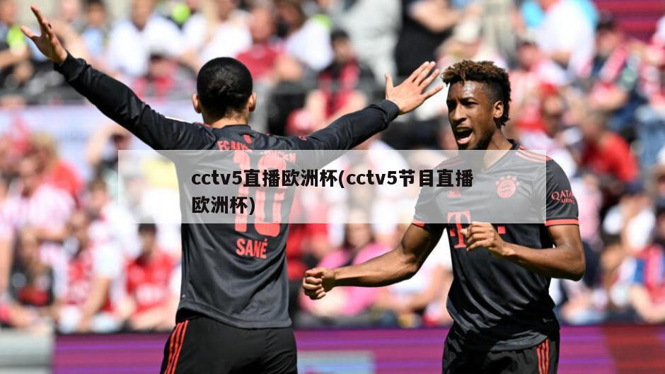 cctv5直播欧洲杯(cctv5节目直播欧洲杯)