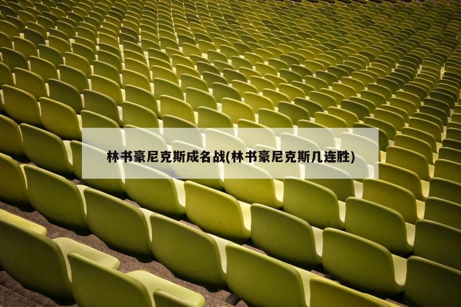 林书豪尼克斯成名战(林书豪尼克斯几连胜)