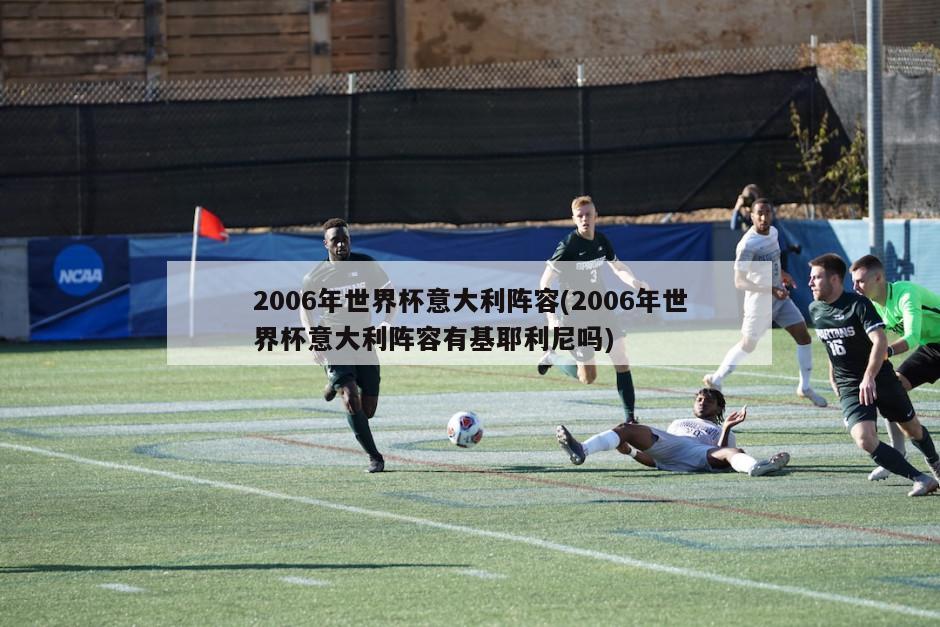 2006年世界杯意大利阵容(2006年世界杯意大利阵容有基耶利尼吗)