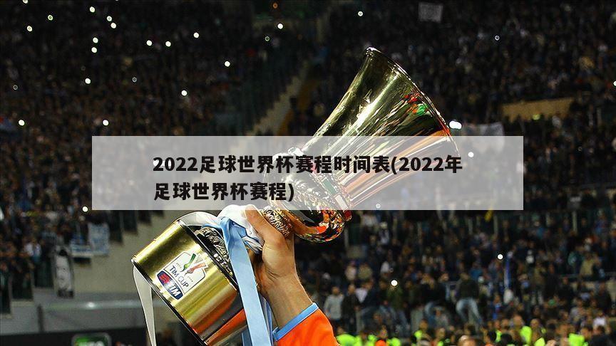 2022足球世界杯赛程时间表(2022年足球世界杯赛程)