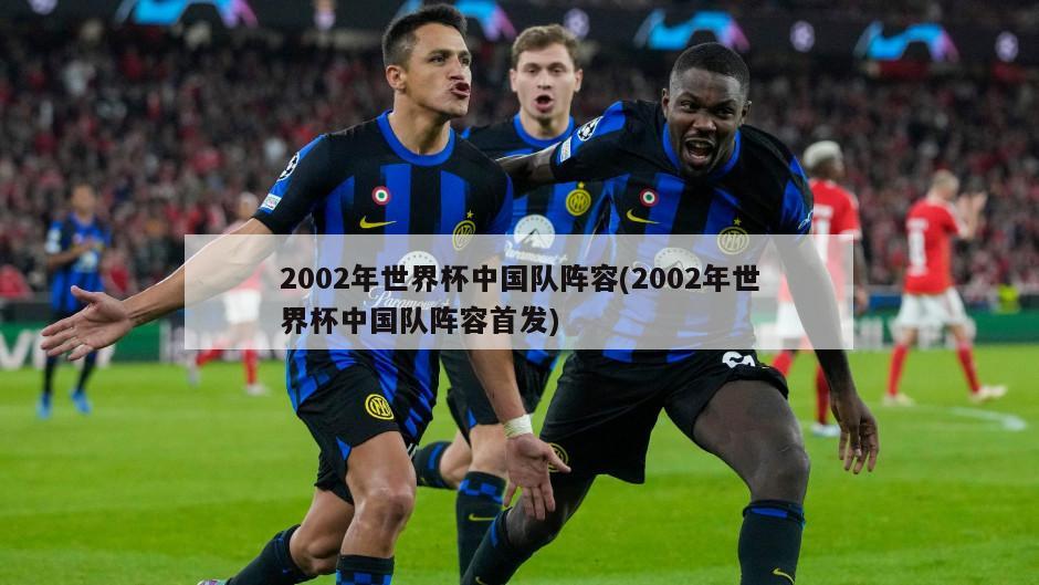 2002年世界杯中国队阵容(2002年世界杯中国队阵容首发)