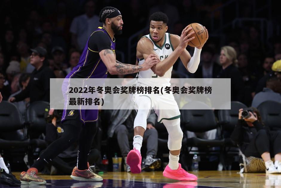 2022年冬奥会奖牌榜排名(冬奥会奖牌榜最新排名)